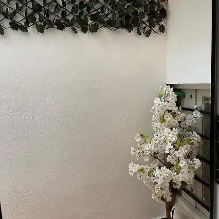 Dream Recova * 圣克鲁斯-德特内里费