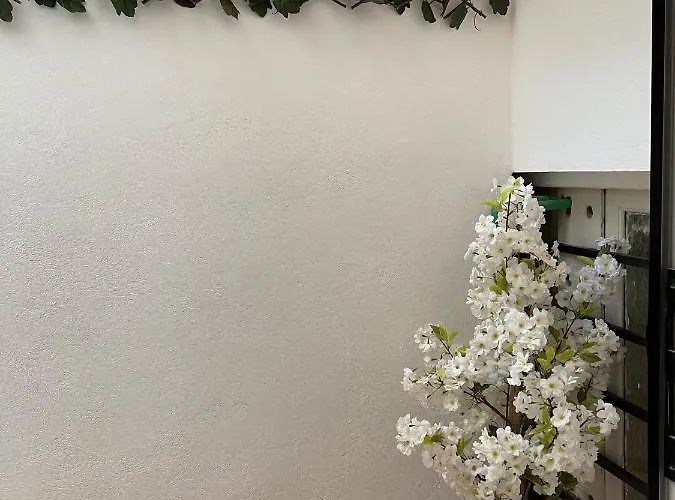 Dream Recova * Санта-Крус-де-Тенерифе