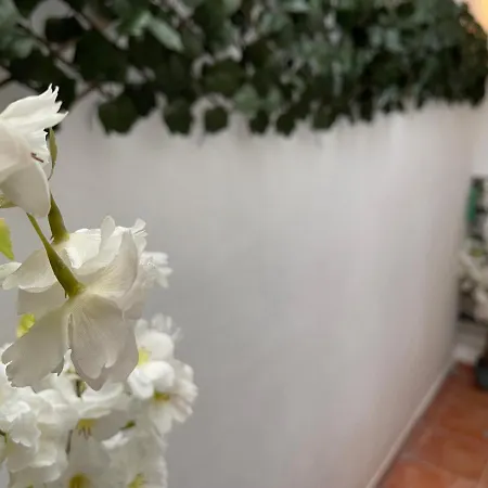 Dream Recova Apartment *