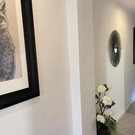 Апартаменты Dream Recova *