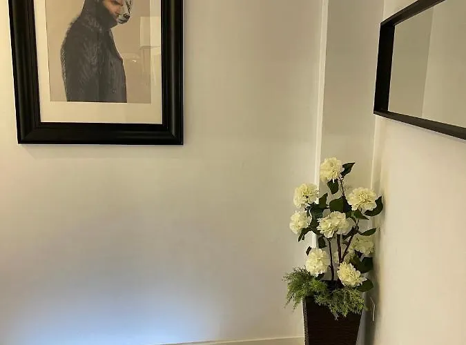 Daire Dream Recova Santa Cruz de Tenerife