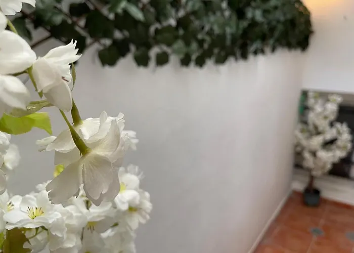 Dream Recova Daire *