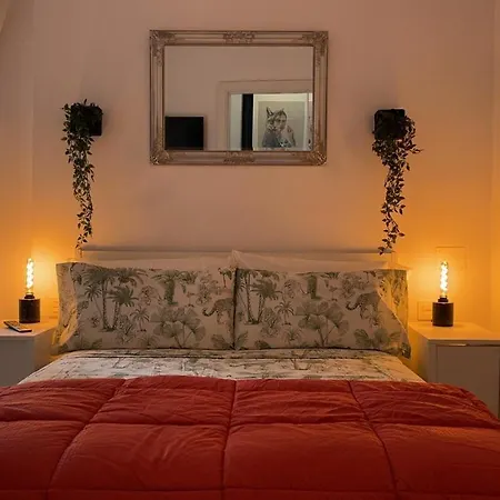 Dream Recova * 산타크루스데 테네리페