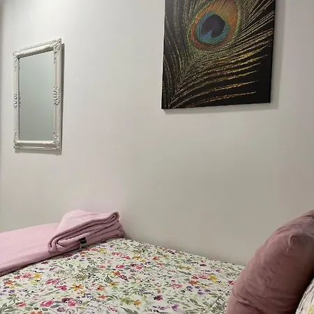 Dream Recova * 산타크루스데 테네리페