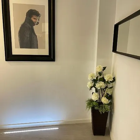 아파트 Dream Recova 산타크루스데 테네리페